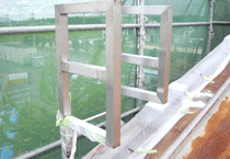 滋賀県　学校 写真